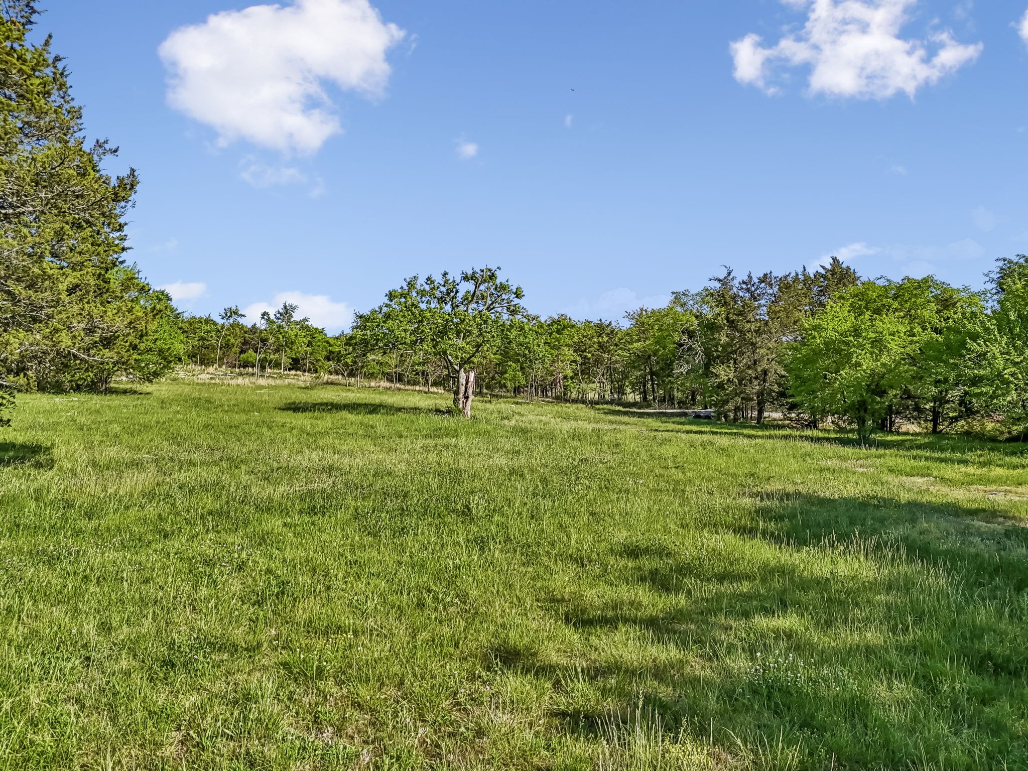 10567 Versailles Road Murfreesboro, TN 37128 - Photo 23 of 25 a view of a big yard with swimming pool and green space