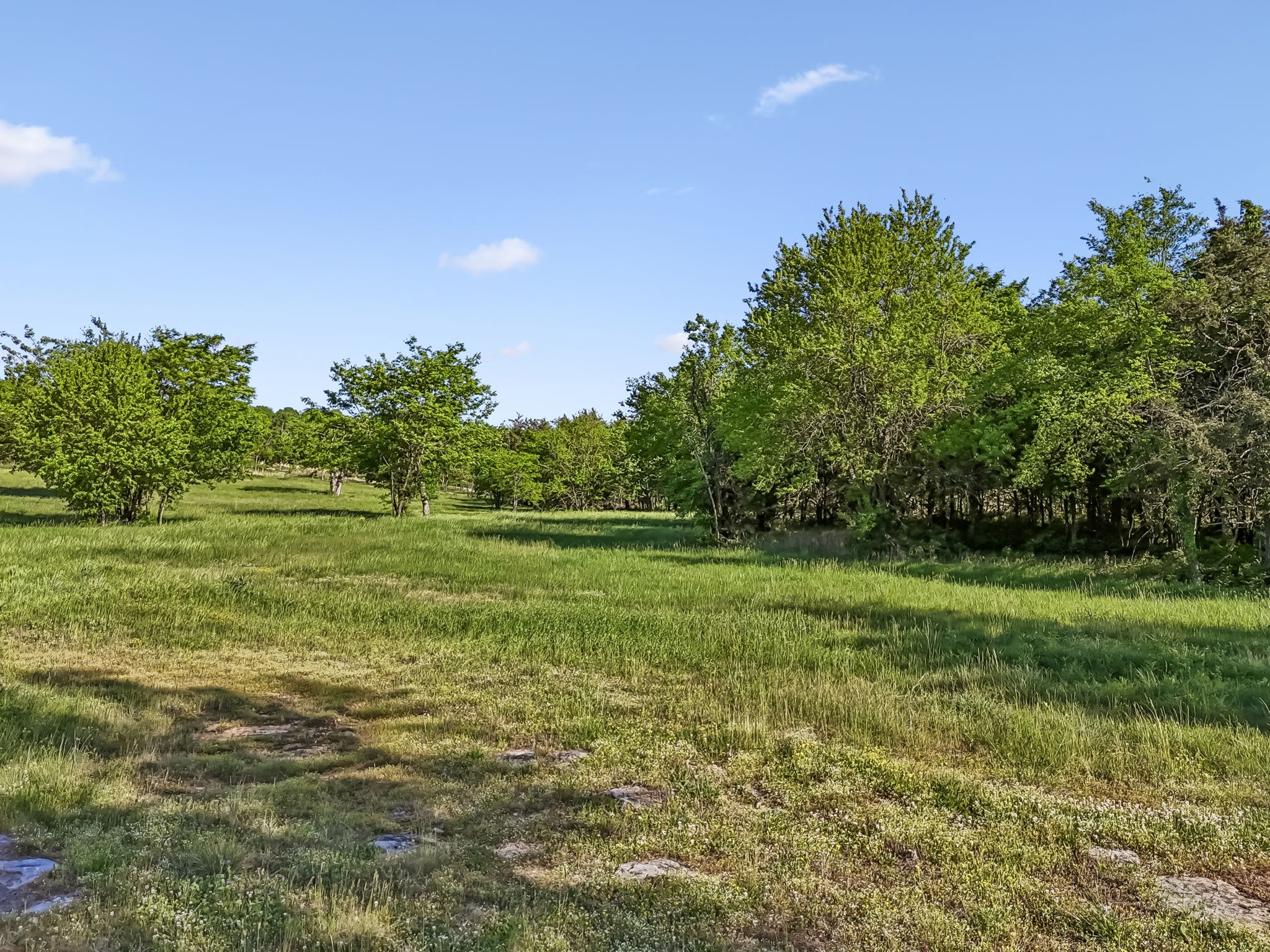10567 Versailles Road Murfreesboro, TN 37128 - Photo 24 of 25 a view of a grassy field with trees