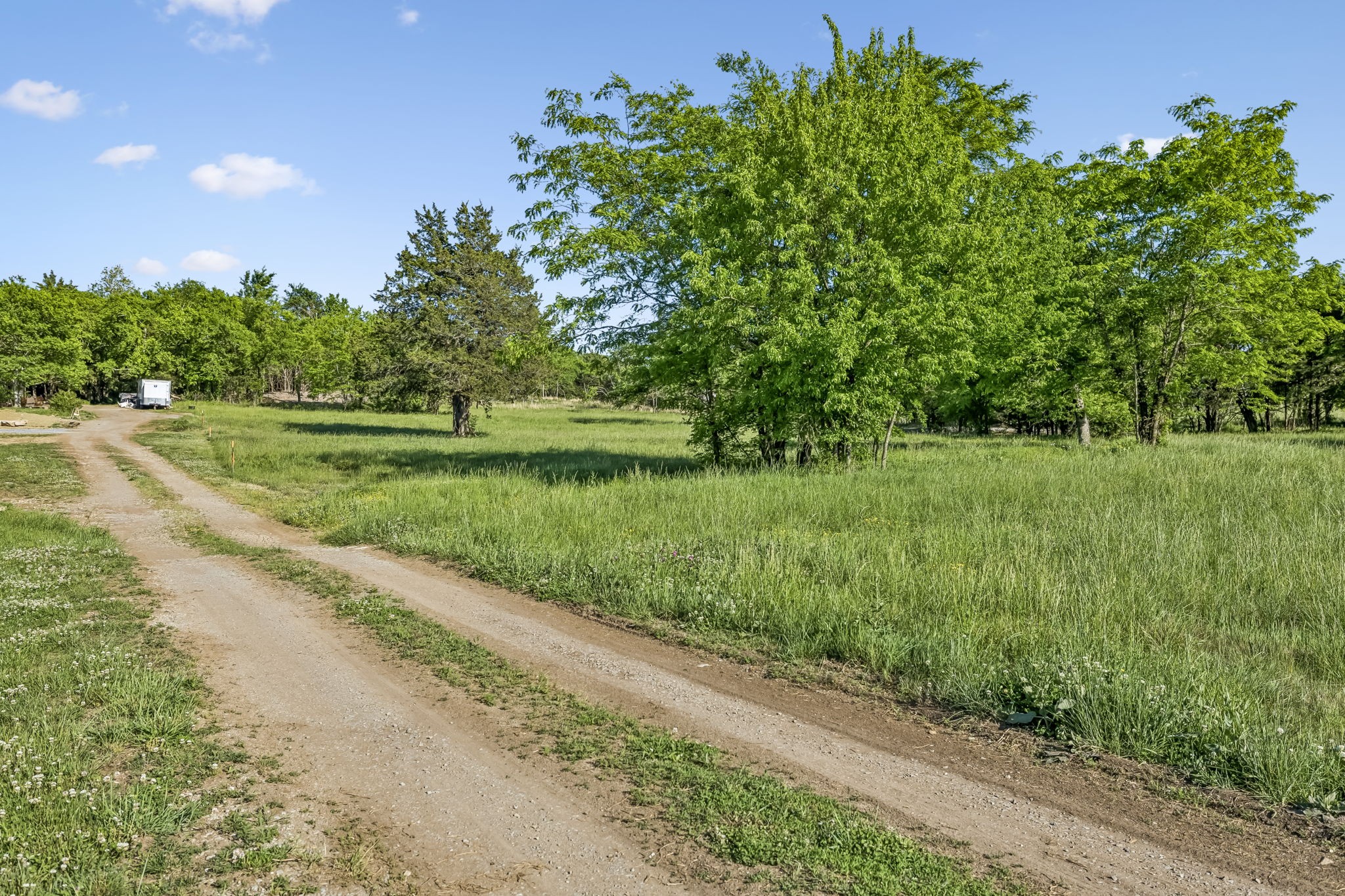 10567 Versailles Road Murfreesboro, TN 37128 - Photo 3 of 25 a view of a garden with a tree