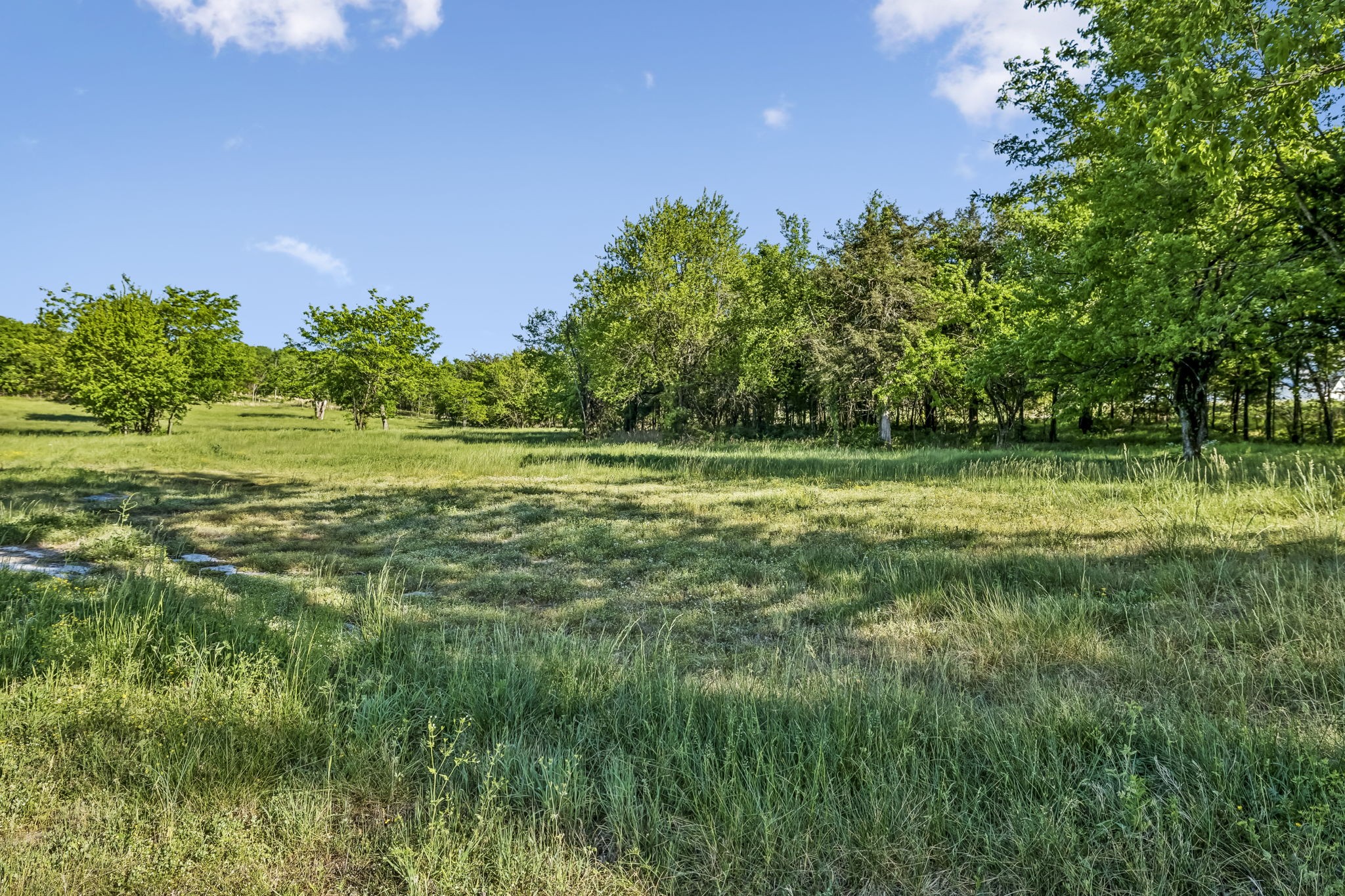 10567 Versailles Road Murfreesboro, TN 37128 - Photo 4 of 25 a yard with lots of green space and trees in the background