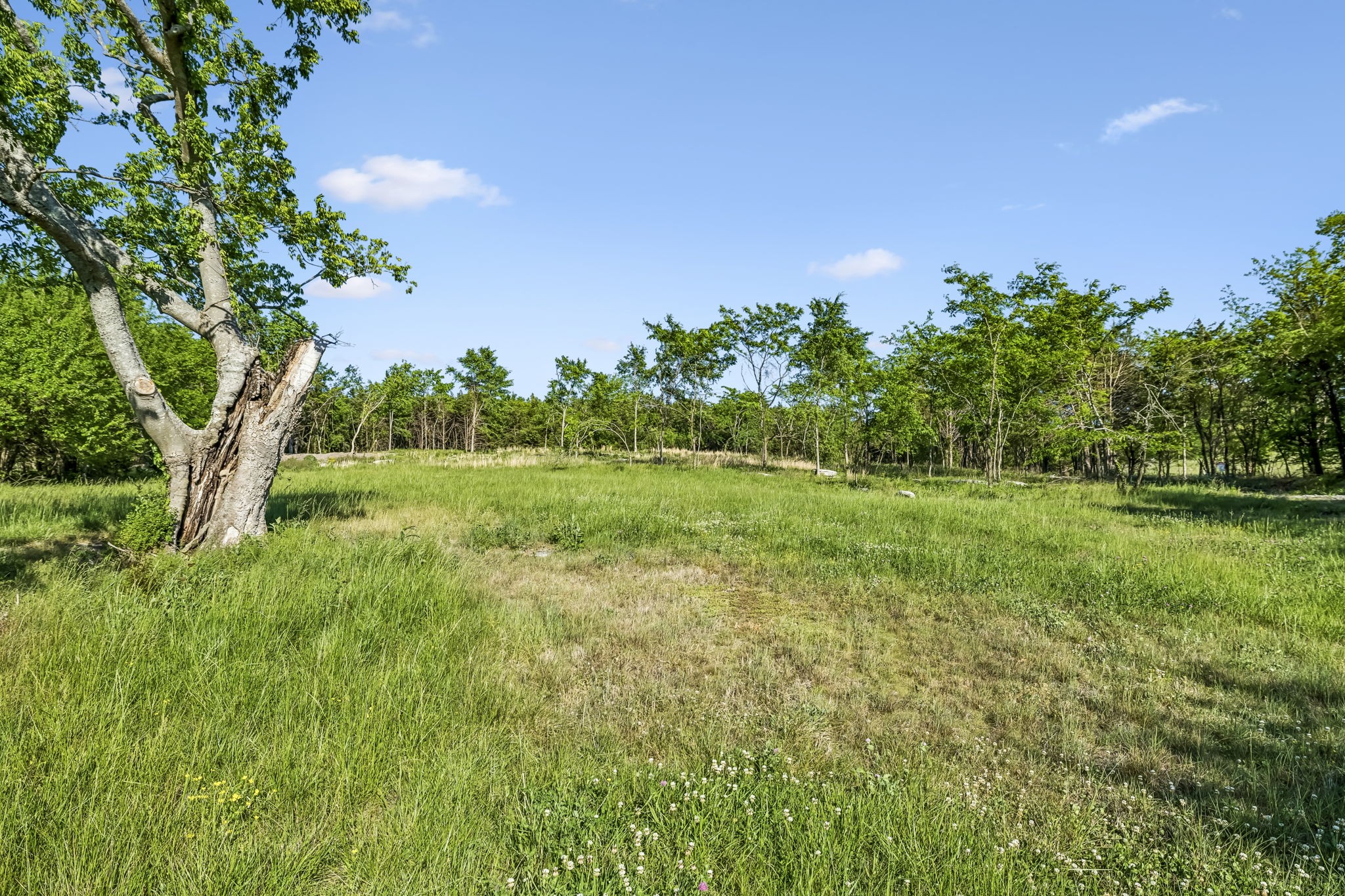 10567 Versailles Road Murfreesboro, TN 37128 - Photo 6 of 25 a view of yard with green space