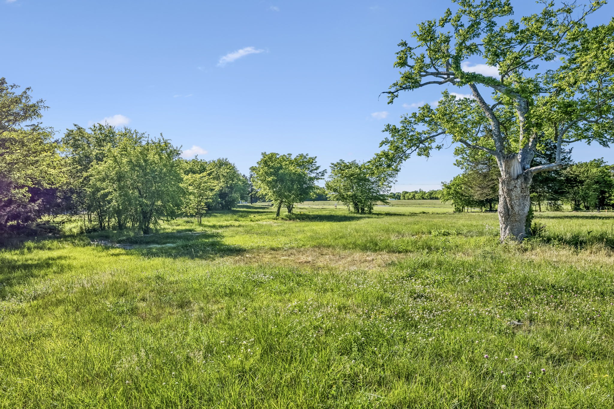 10567 Versailles Road Murfreesboro, TN 37128 - Photo 7 of 25 a view of a grassy field with trees