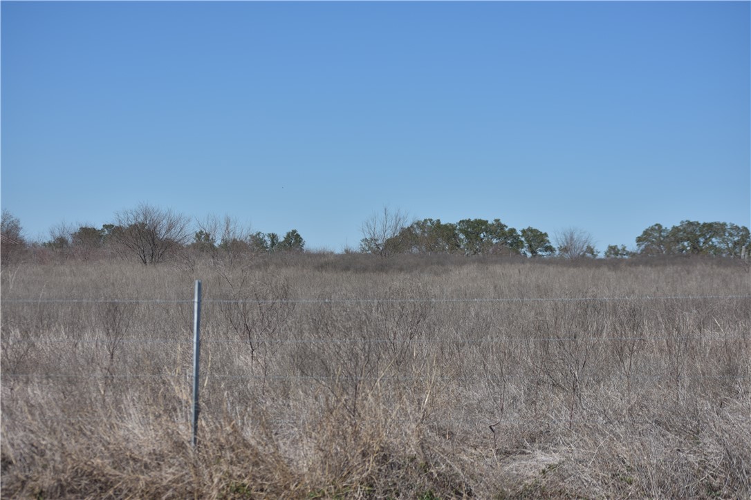 Track 24 Jackson Road Refugio, TX 78377 - Photo 2 of 10