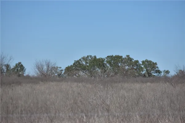 $165,000 | Track 24 Jackson Road, Refugio, TX 78377