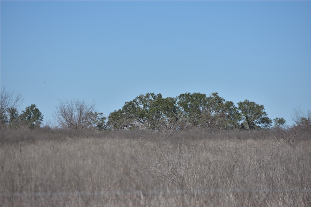 Track 24 Jackson Road Refugio, TX 78377 - Photo 6 of 10