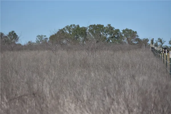 $165,000 | Track 24 Jackson Road, Refugio, TX 78377