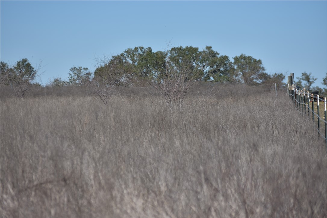 Track 24 Jackson Road Refugio, TX 78377 - Photo 7 of 10
