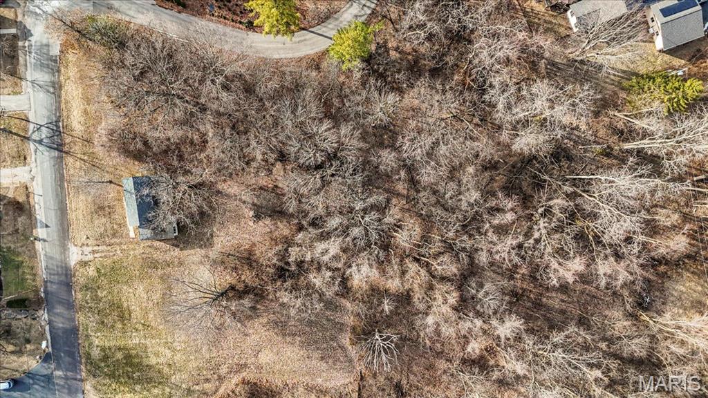 10 Grove Avenue Belleville, IL 62221 - Photo 13 of 13