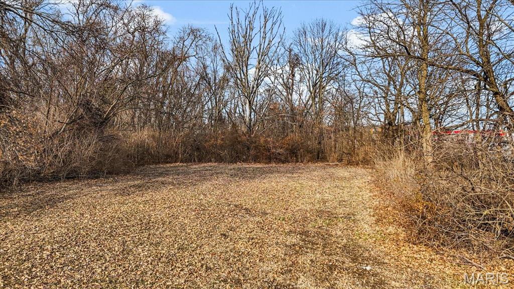 10 Grove Avenue Belleville, IL 62221 - Photo 7 of 13