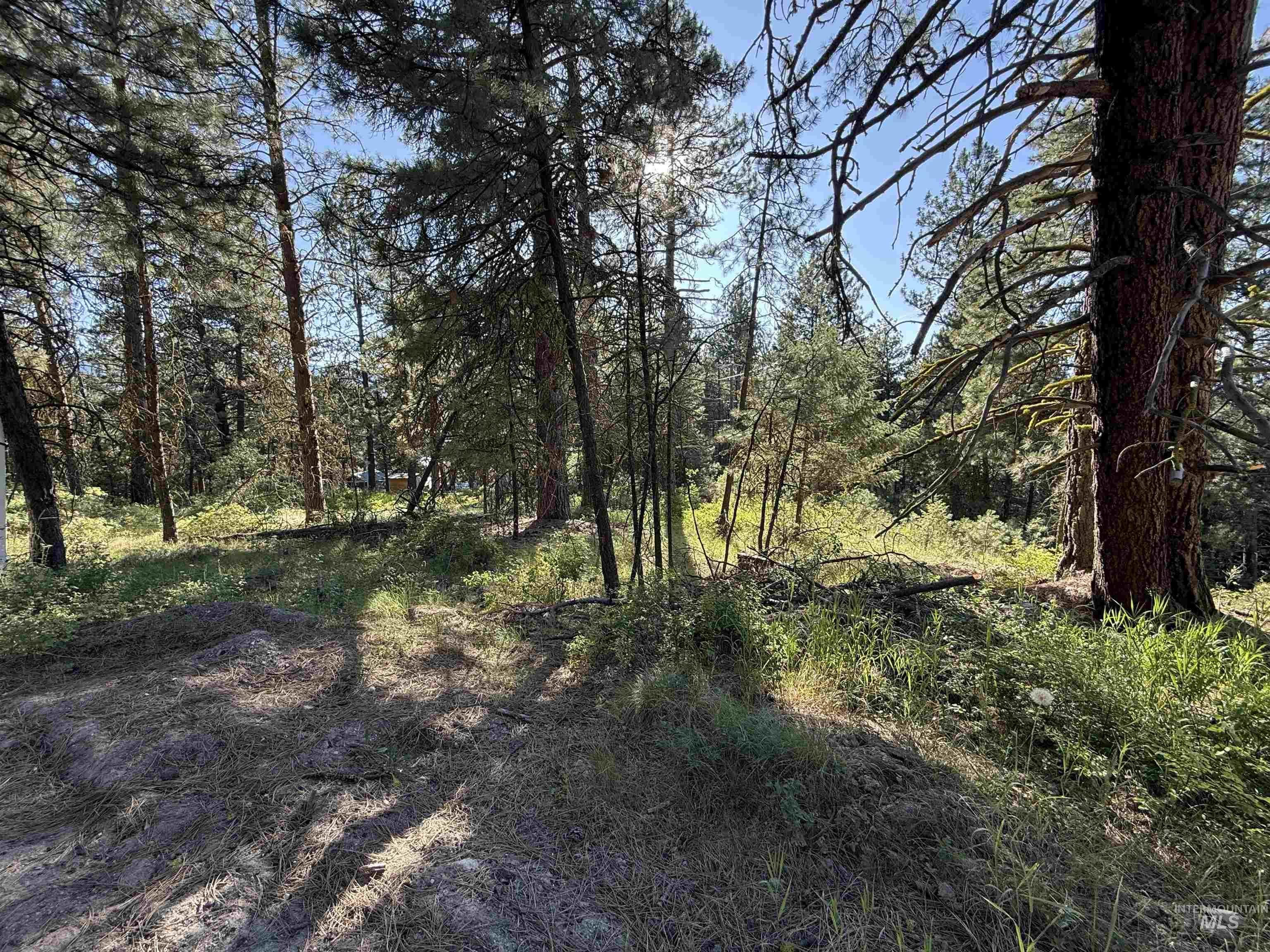 1307 Crown Point Parkway Cascade, ID 83611 - Photo 2 of 10 View of wooded area