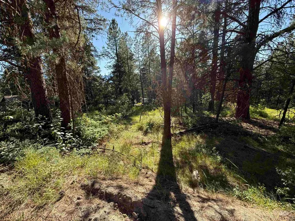 $104,000 | 1307 Crown Point Parkway, Cascade, ID 83611