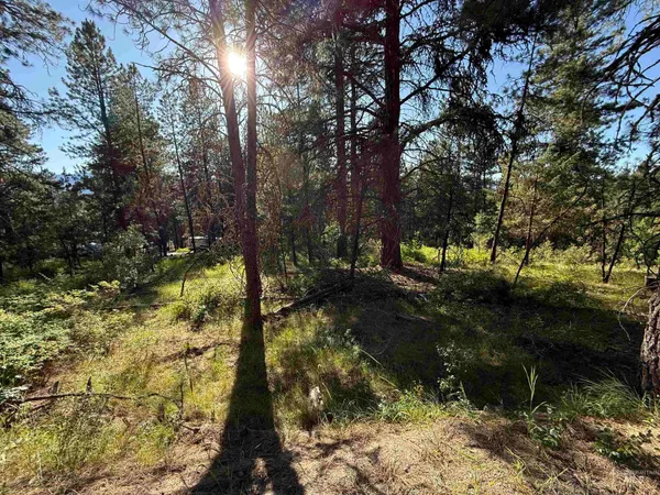 $104,000 | 1307 Crown Point Parkway, Cascade, ID 83611