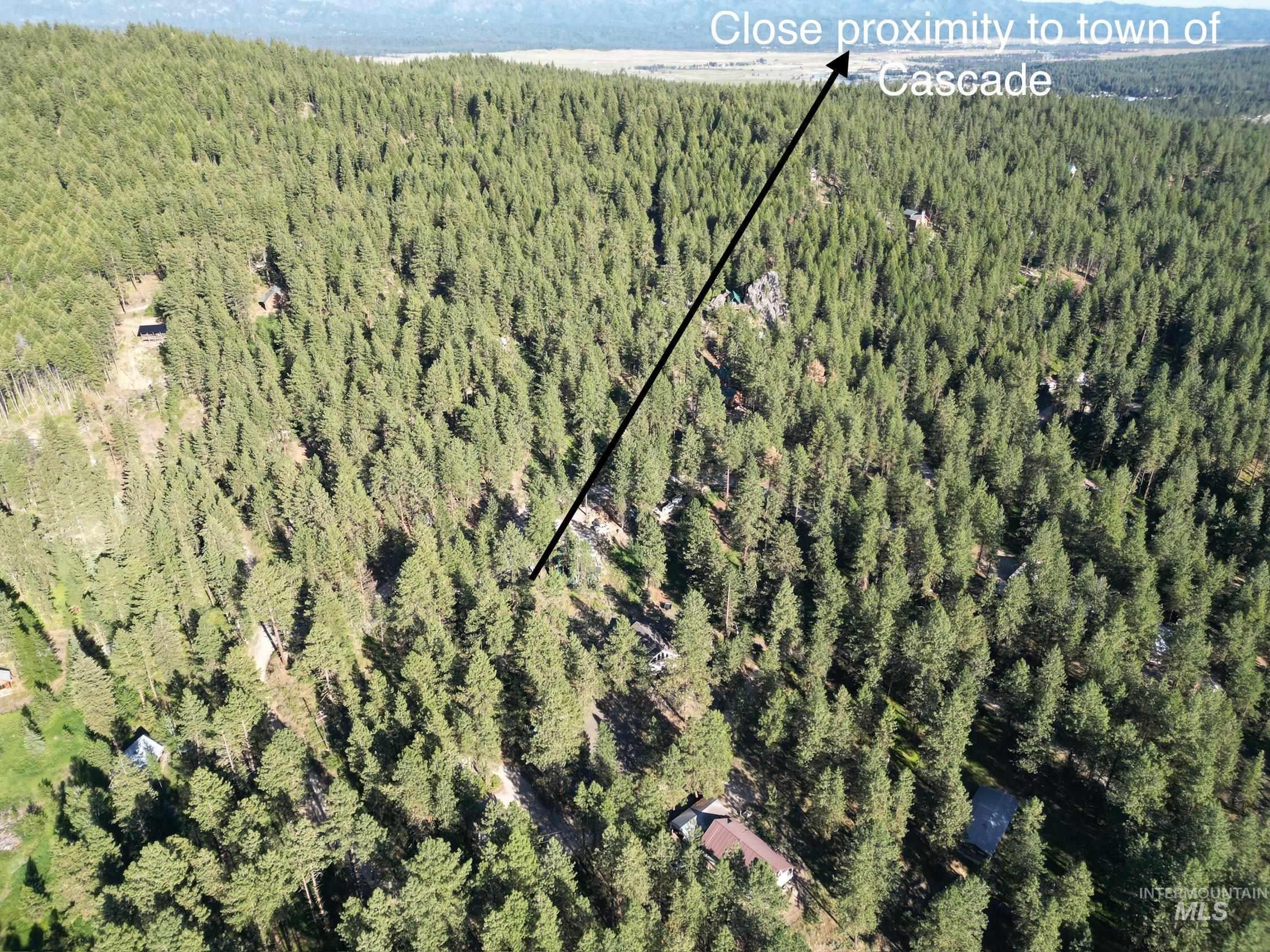 1307 Crown Point Parkway Cascade, ID 83611 - Photo 7 of 10 Aerial overview of property's location with a forest