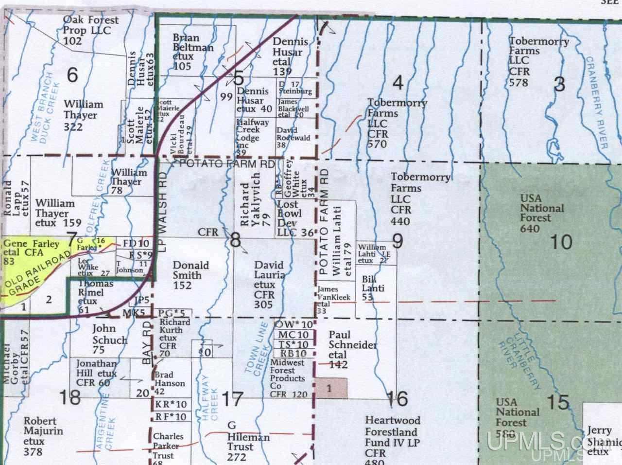 28557 L P Walsh Road Ontonagon, MI 49953 - Photo 12 of 12 Gallery Image 12