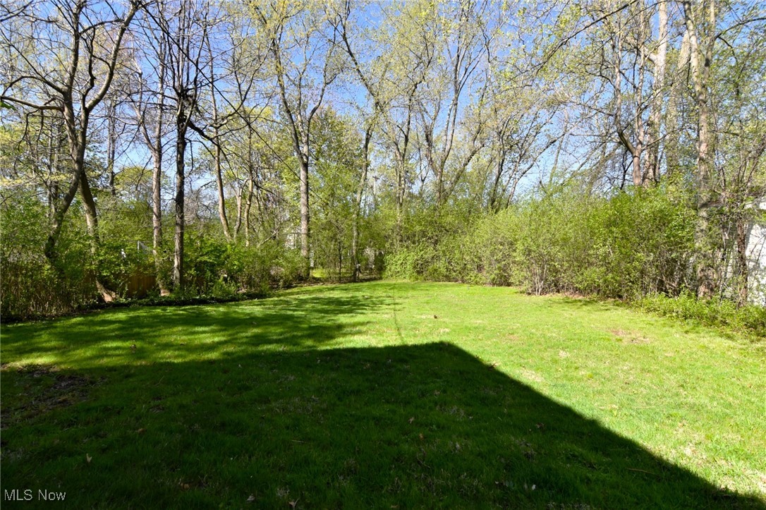 2636 Queenston Road Cleveland Heights, OH 44118 - Photo 40 of 45 Back Yard