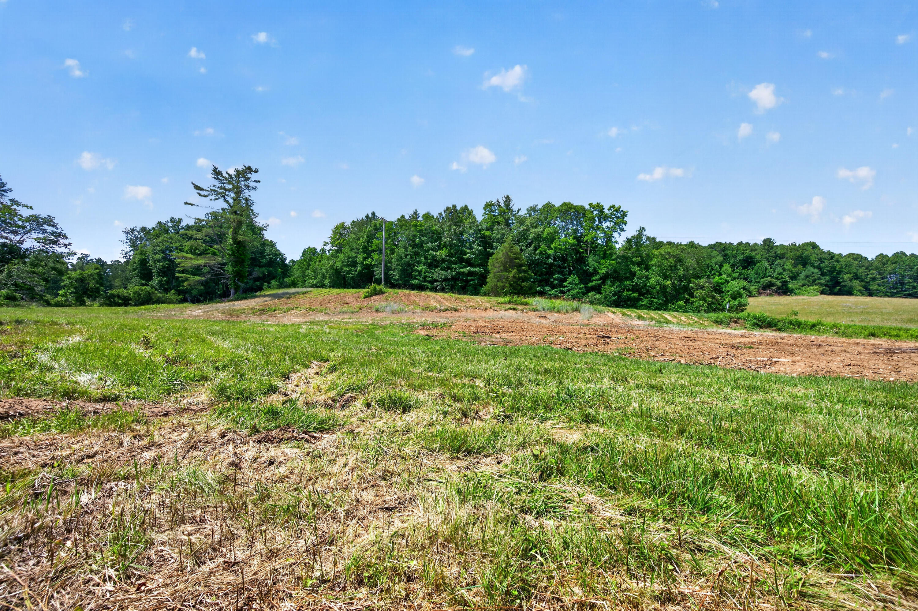 6196 Chances Creek Road Fancy Gap, VA 24328 - Photo 51 of 78 52
