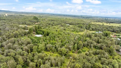 $10,000 | 447 Road 7 Mountain View, Mountain View, HI 96771