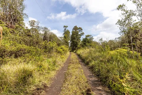 $10,000 | 447 Road 7 Mountain View, Mountain View, HI 96771