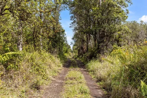 $10,000 | 447 Road 7 Mountain View, Mountain View, HI 96771
