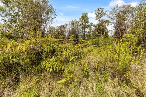 $10,000 | 447 Road 7 Mountain View, Mountain View, HI 96771