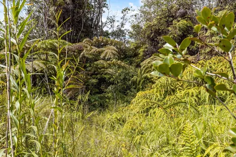 $10,000 | 447 Road 7 Mountain View, Mountain View, HI 96771
