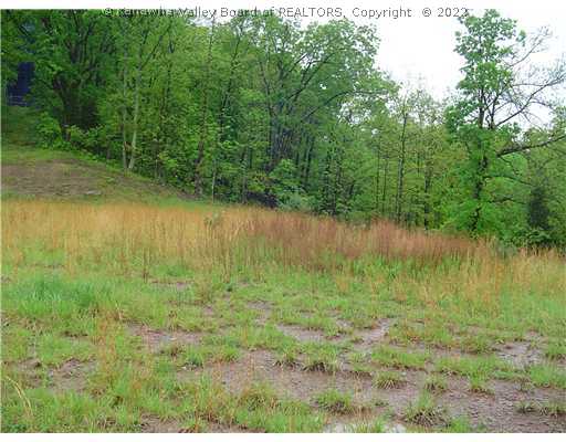 613 North Ridge Road Sandyville, WV 25275 - Photo 6 of 6 Land/Lot.