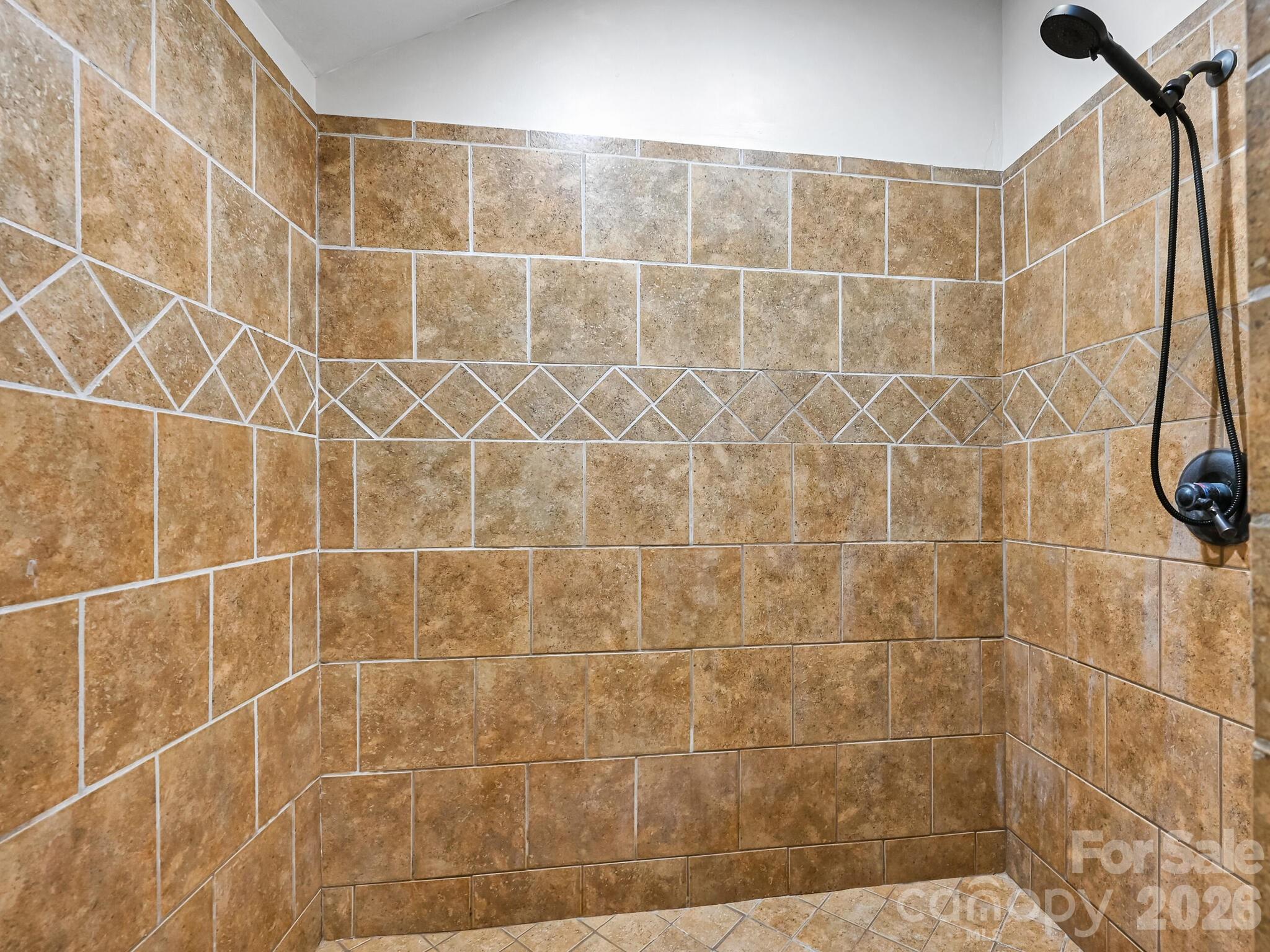 1645 Ivy Hill Road Marshall, NC 28753 - Photo 22 of 36 a bathroom with a shower