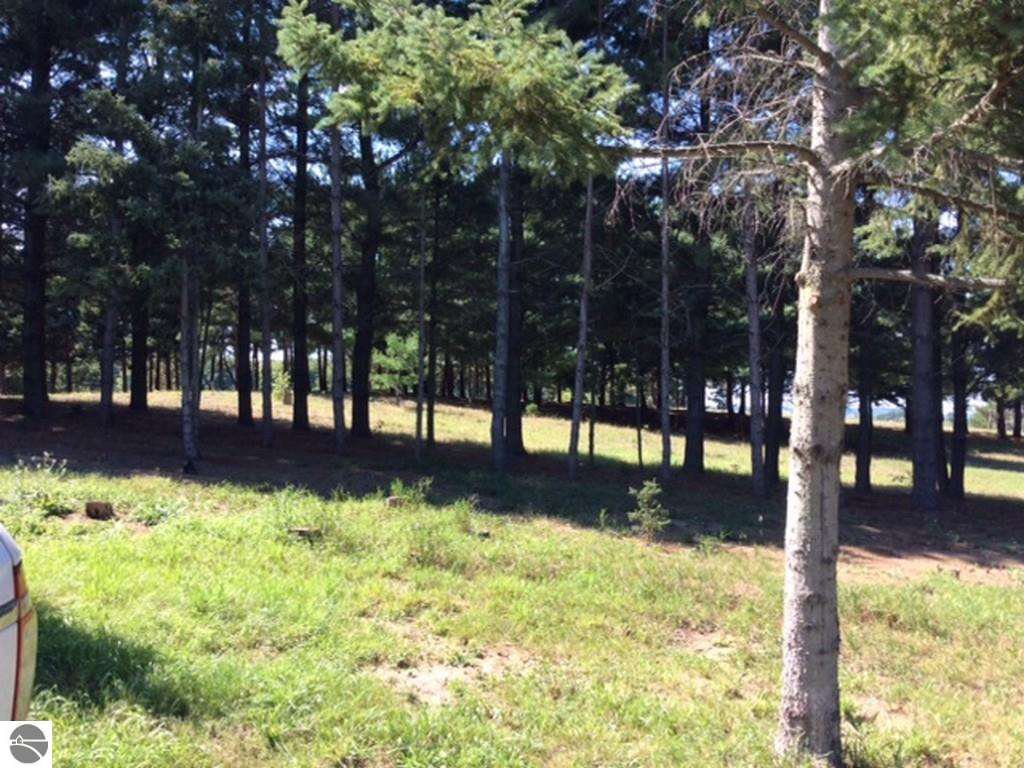 5840 North Lucas Road Manton, MI 49663 - Photo 22 of 23 1796302-21.JPG
