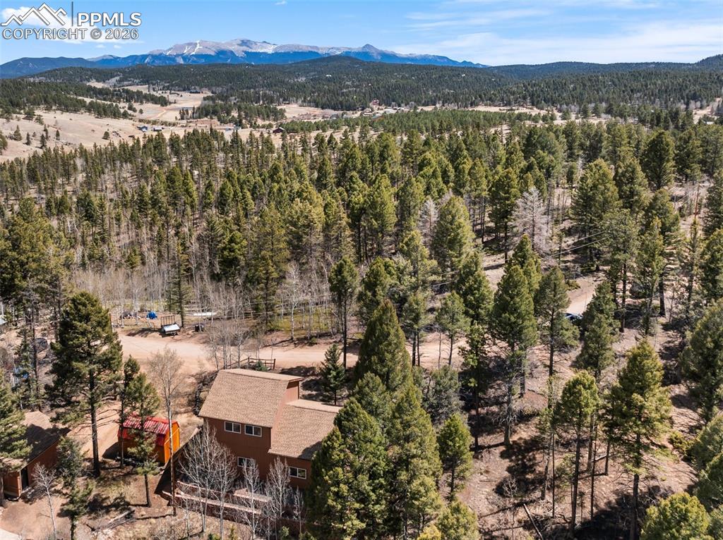 351 Porphry Road Florissant, CO 80816 - Photo 4 of 43 Ariel