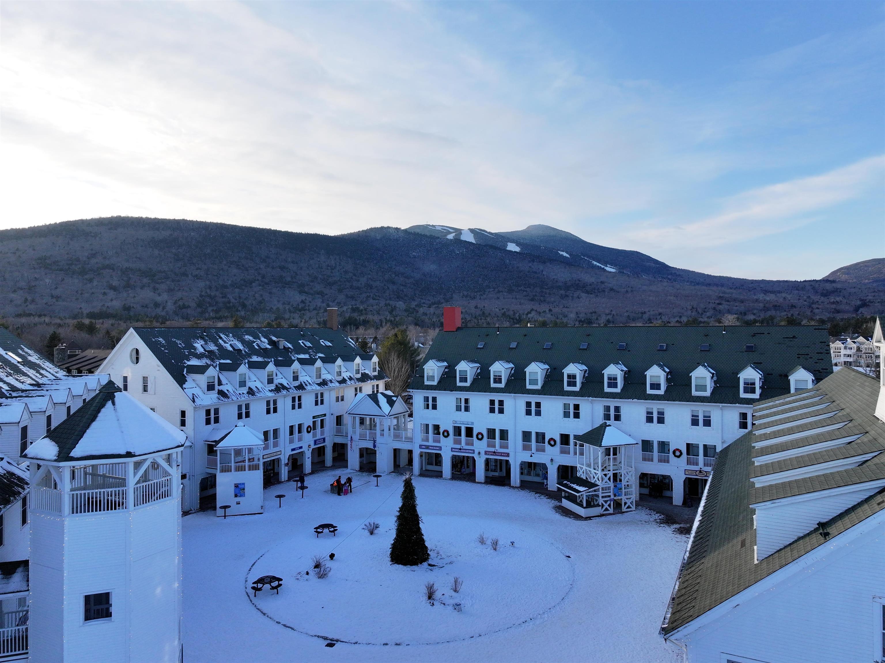 46 Packard's Road, Unit 307 WEEK 4 Waterville Valley, NH 03215 - Photo 35 of 45