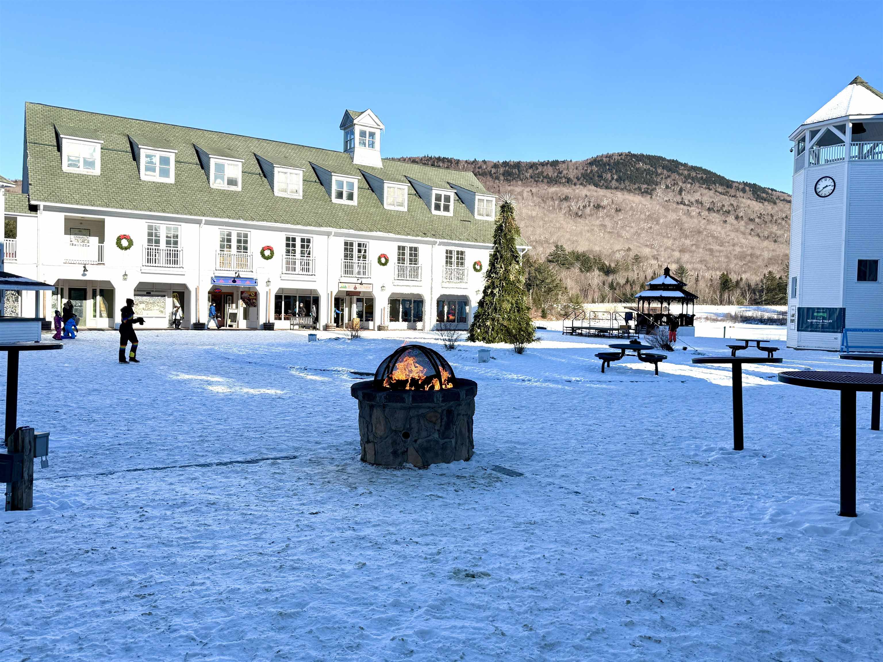46 Packard's Road, Unit 307 WEEK 4 Waterville Valley, NH 03215 - Photo 38 of 45