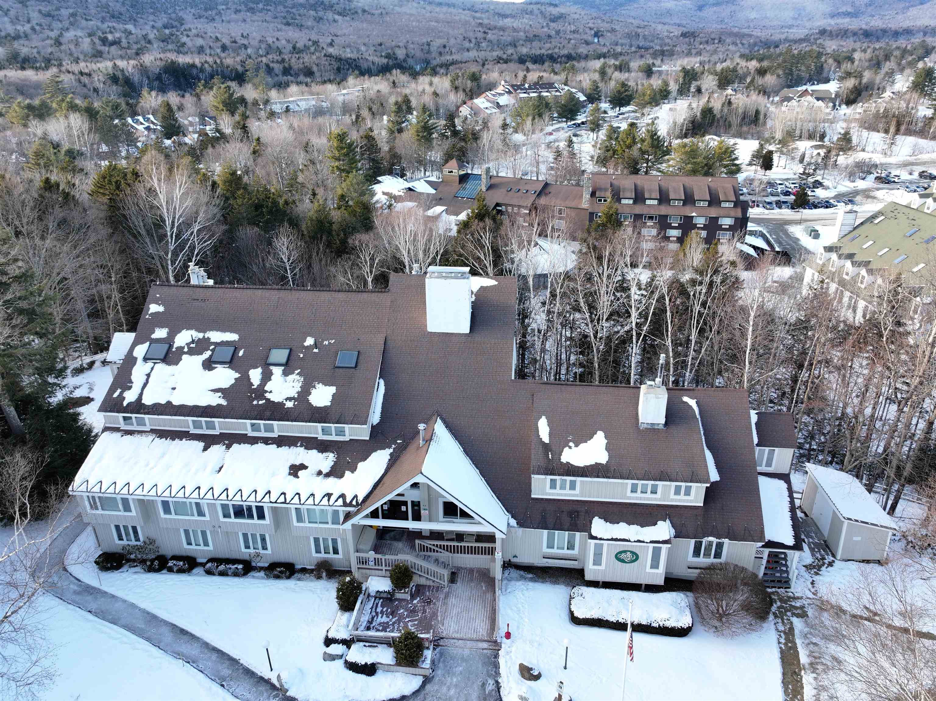 46 Packard's Road, Unit 307 WEEK 4 Waterville Valley, NH 03215 - Photo 4 of 45