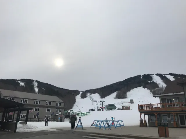 $1,200 | 46 Packard's Road, Unit 307 WEEK 4, Waterville Valley, NH 03215