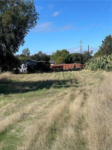 a view of yard with green space