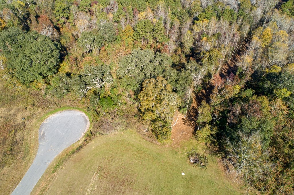 0 Turkey Ridge Lane Quitman, GA 31643 - Photo 3 of 4 Gallery Image 3