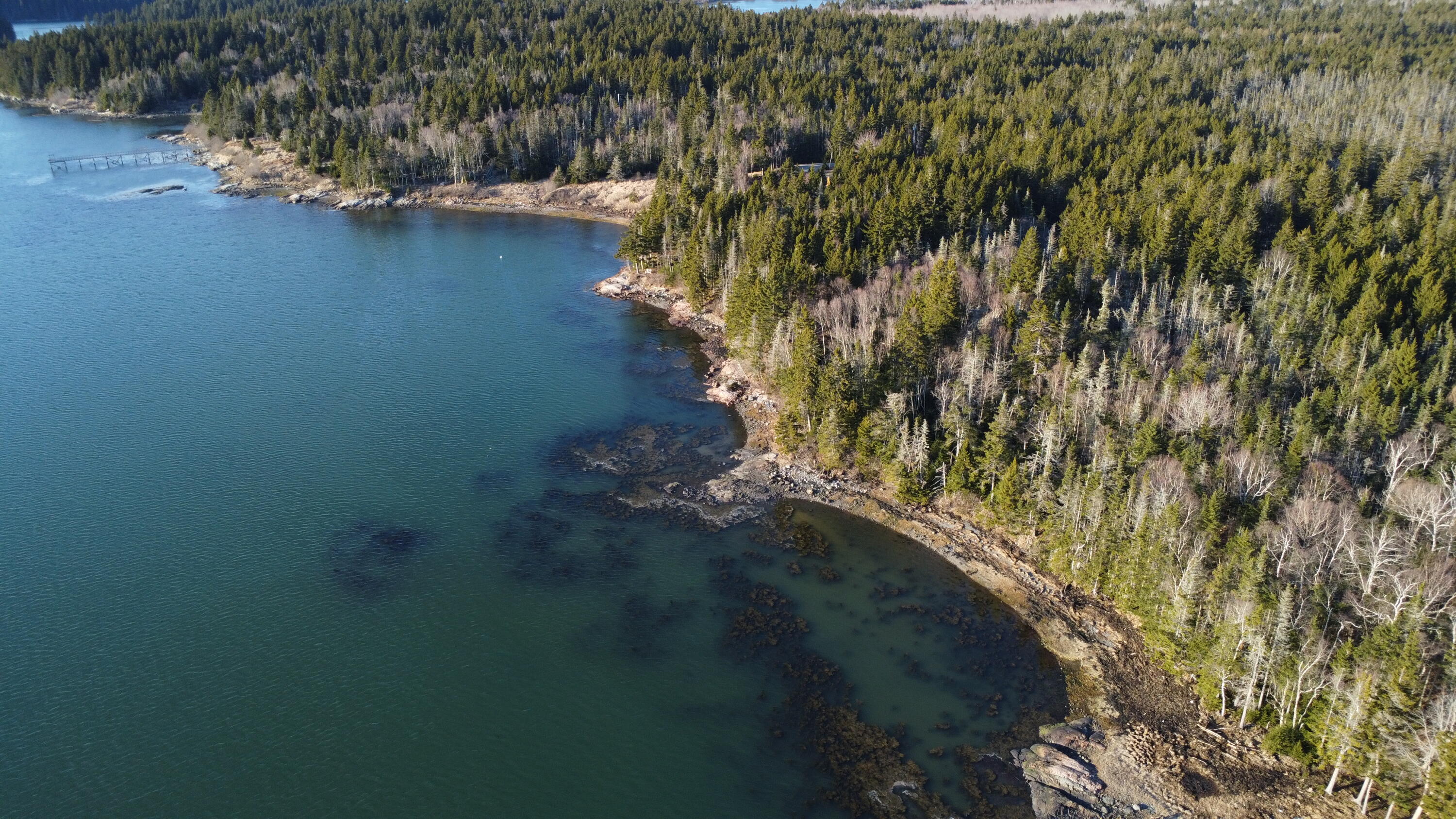 6 Collins Cove Road Machiasport, ME 04655 - Photo 1 of 15 6