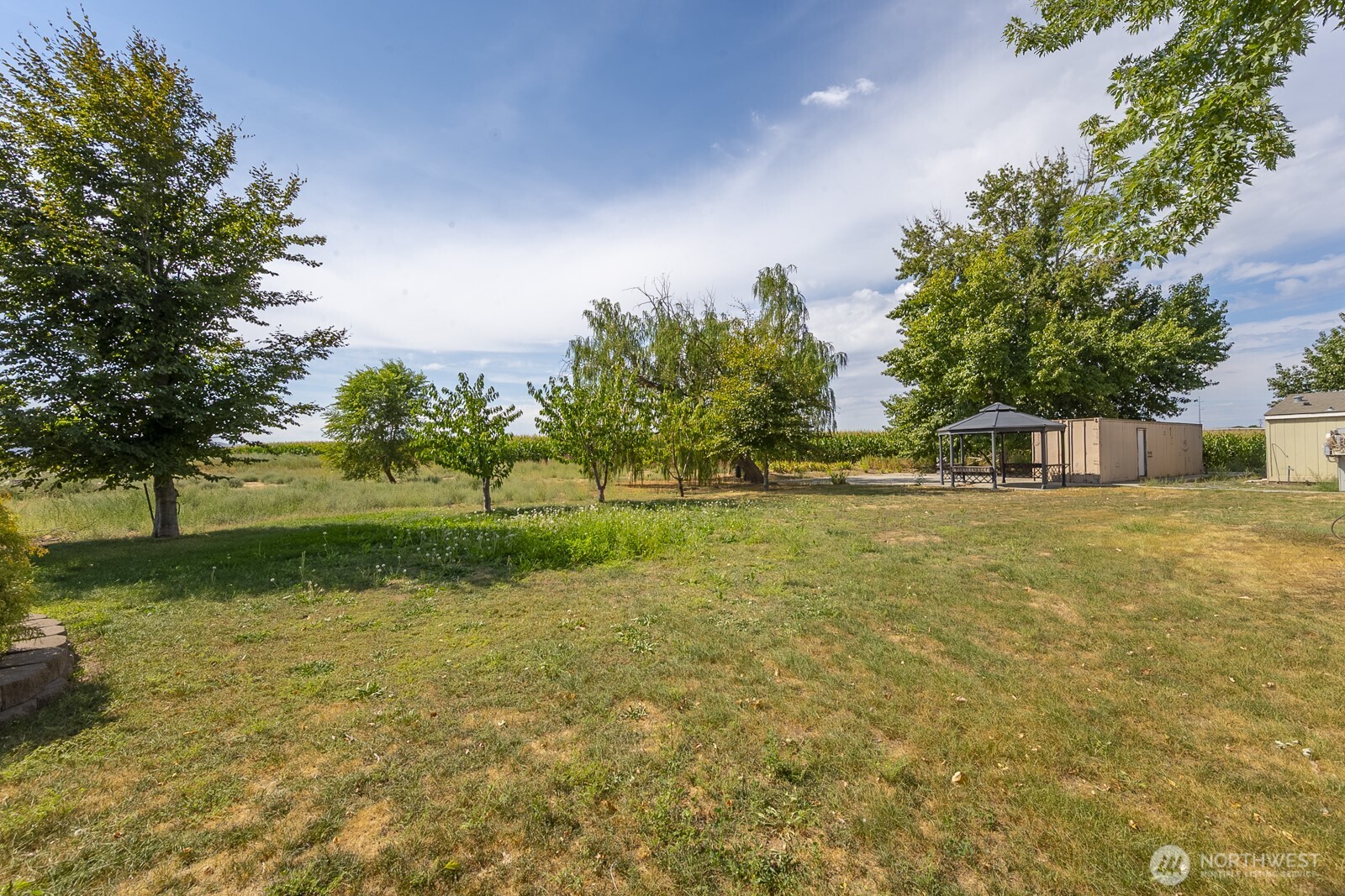 12078 Division Road South Royal City, WA 99357 - Photo 6 of 40 Gallery Image 6