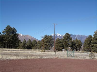 7050 East Ride A Mule Road Flagstaff, AZ 86004 - Photo 22 of 22 Additional Photo