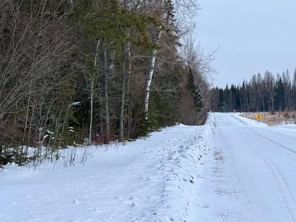 $32,000 | Tbd Heino Road, Angora, MN 55703