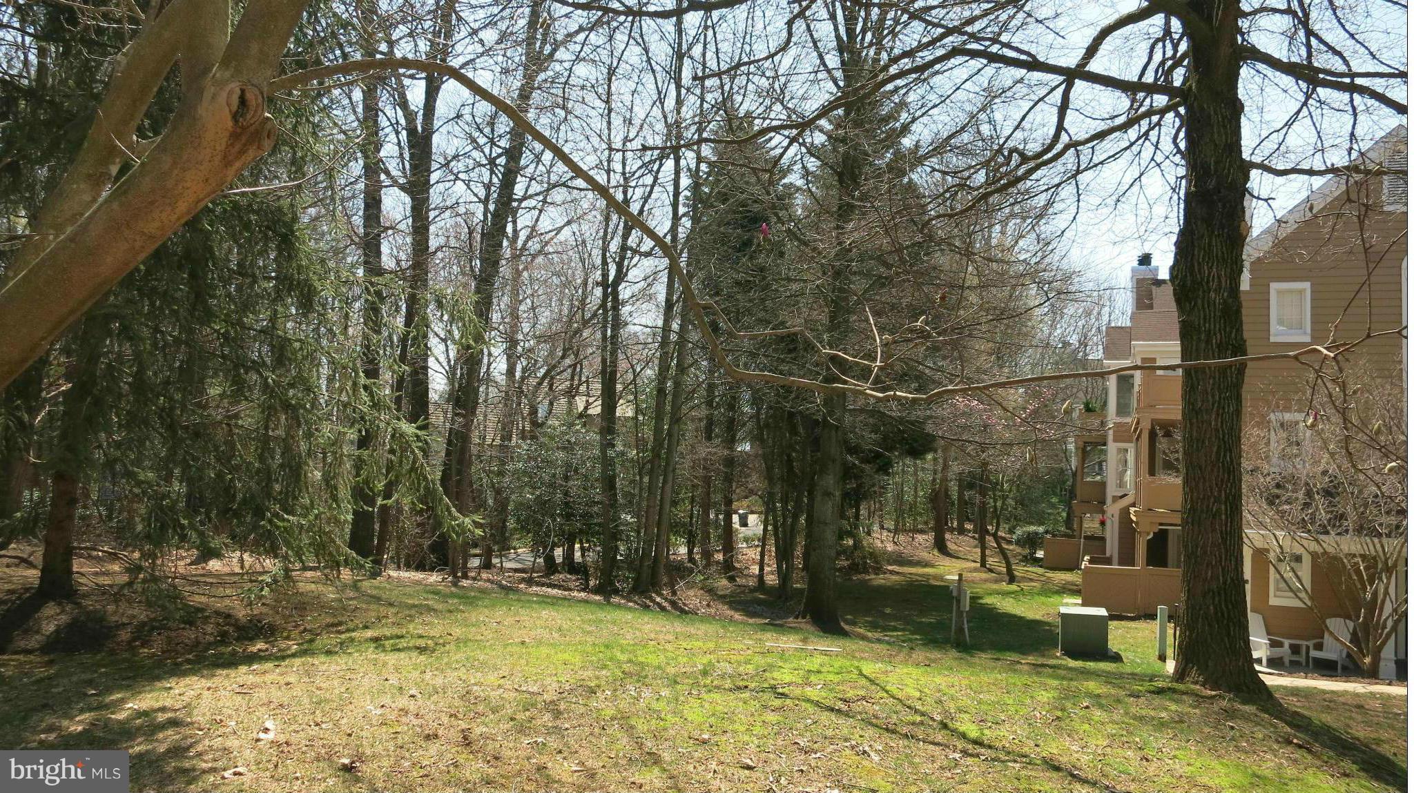 1423 Church Hill Place, Unit 1423 Reston, VA 20194 - Photo 16 of 26 a view of a backyard