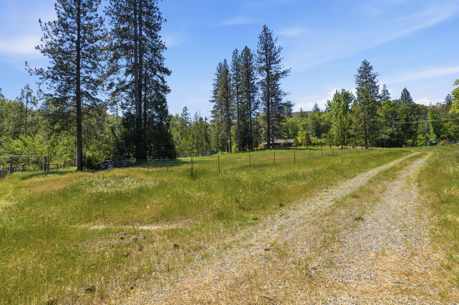 7019 Scott Road Mariposa, CA 95338 - Photo 54 of 77