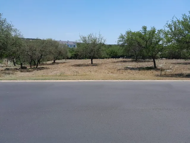 a view of a dry yard with trees in the background