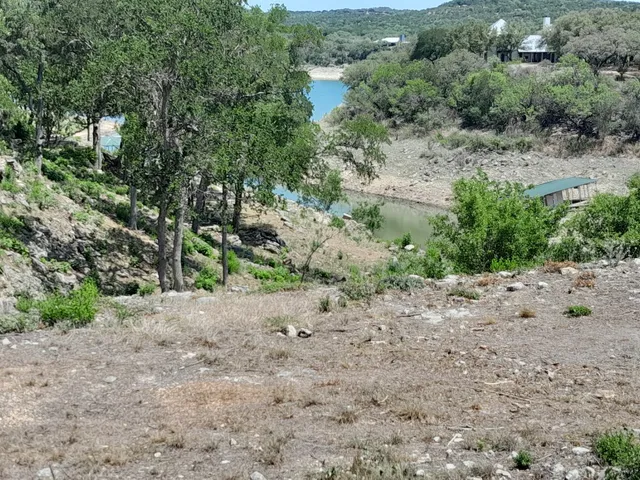 a view of a dirt road with large trees