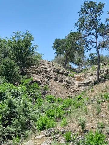 a view of a large yard with lots of green space