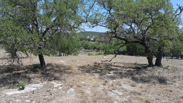 a view of a forest with trees