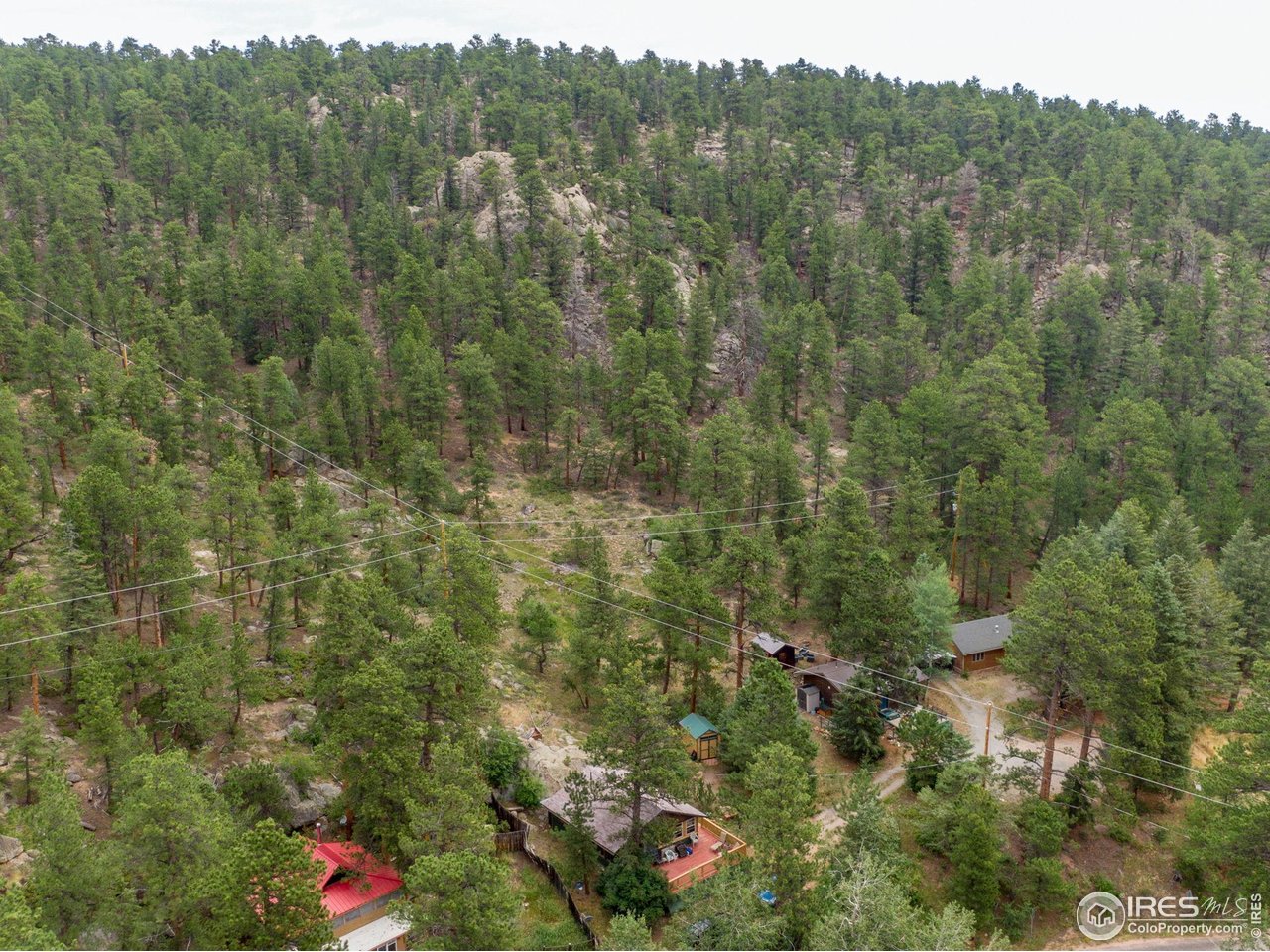 2248 Riverside Drive Lyons, CO 80540 - Photo 24 of 28 a view of a forest with a street