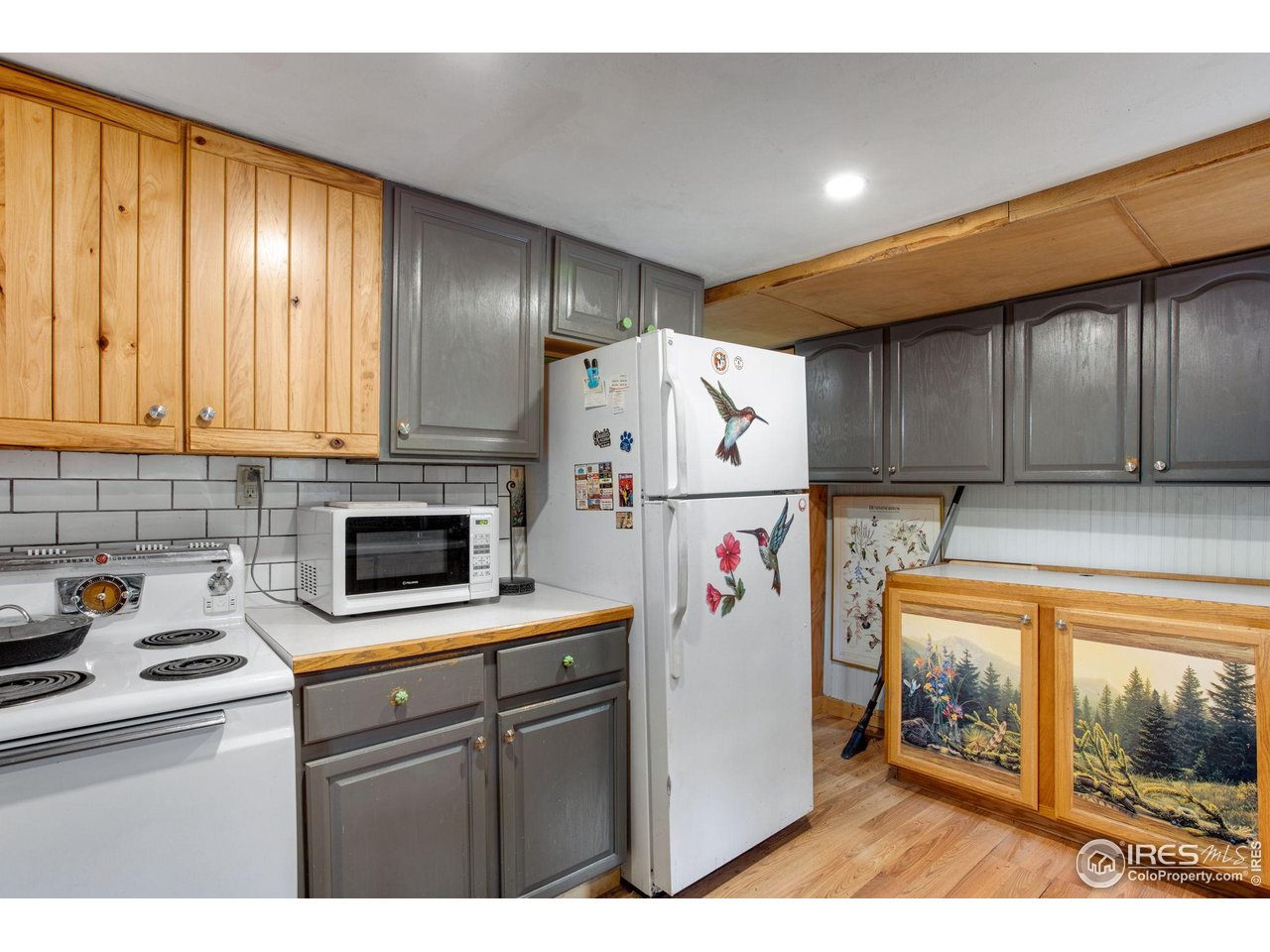 2248 Riverside Drive Lyons, CO 80540 - Photo 9 of 28 a kitchen with refrigerator and cabinets