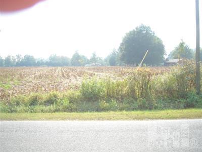 100 Crooked Run Road Willard, NC 28478 - Photo 1 of 1 Primary Photo