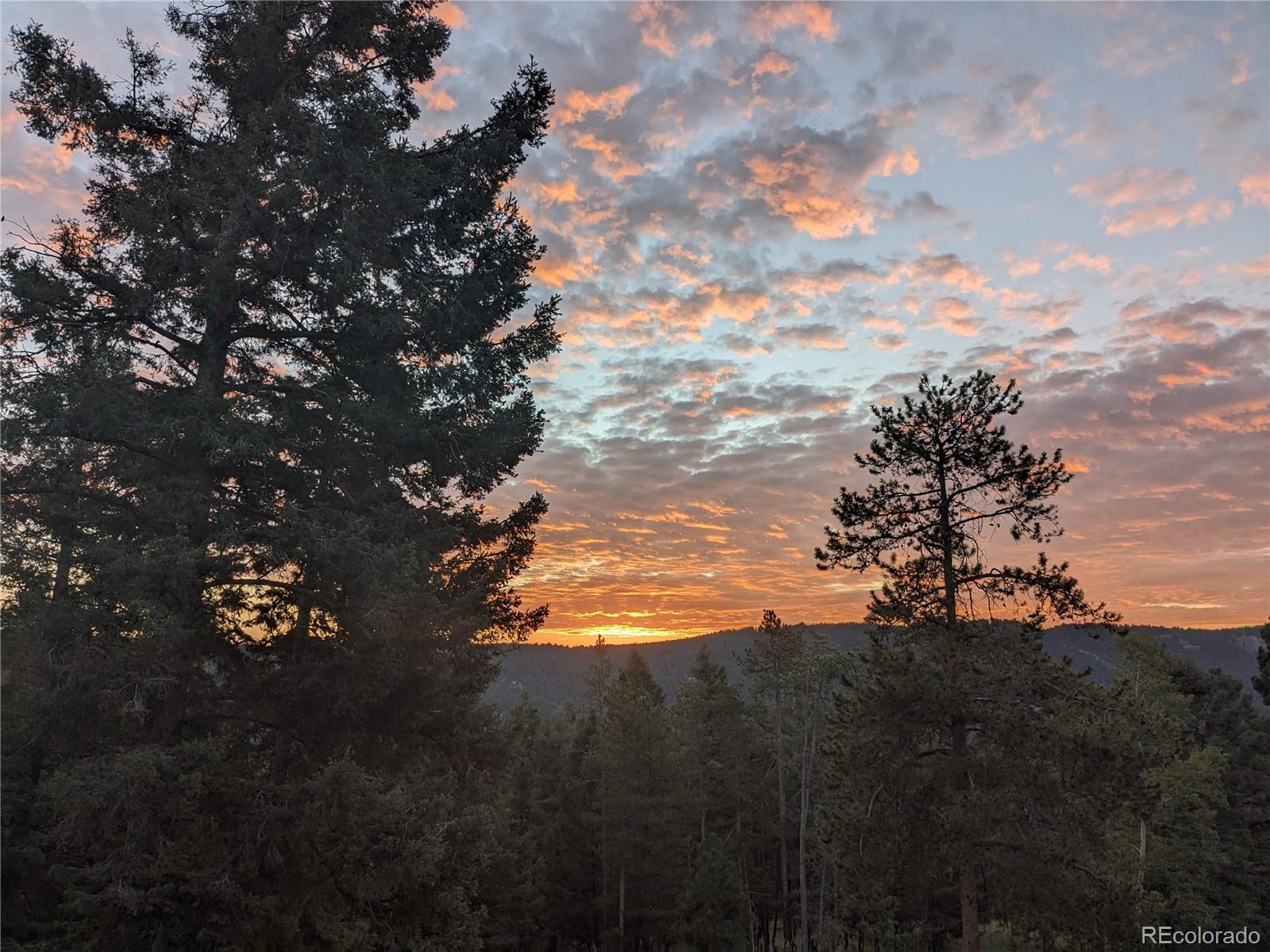 24897 Red Cloud Drive Conifer, CO 80433 - Photo 8 of 40