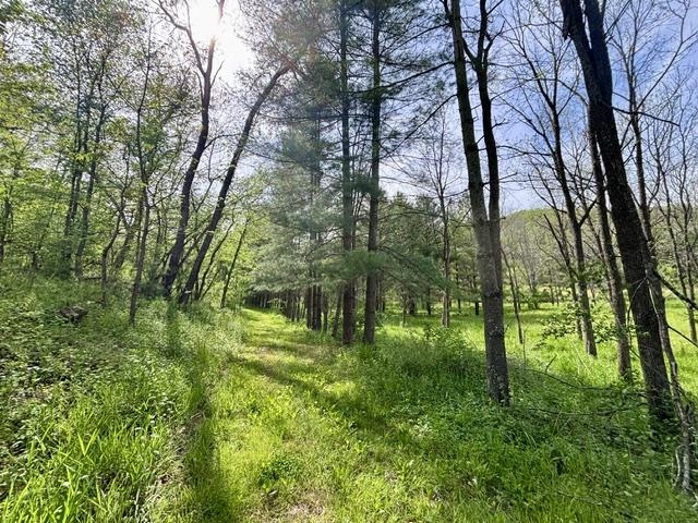 50792 Haney Valley Road Gays Mills, WI 54631 - Photo 12 of 39
